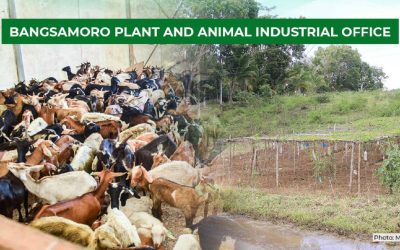 BTA bill to create Bangsamoro Plant and Animal Industries Office