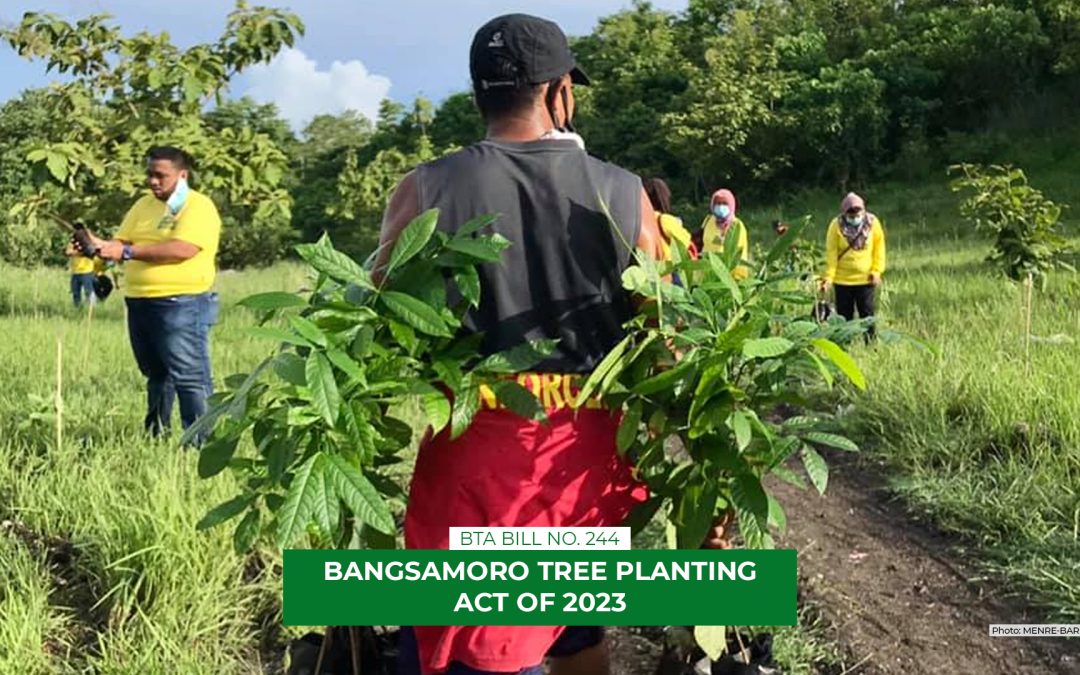 BARMM bill to require tree planting among 4Ps beneficiaries